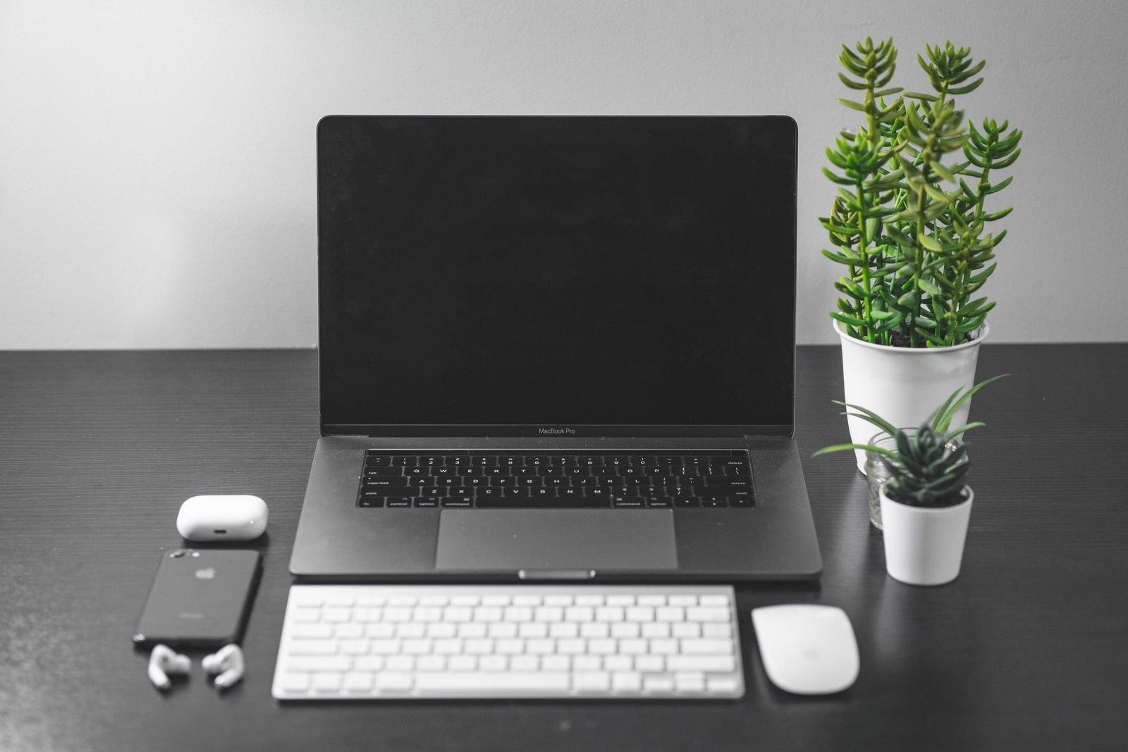 Clean, organised desk setup with a laptop, smartphone and plants