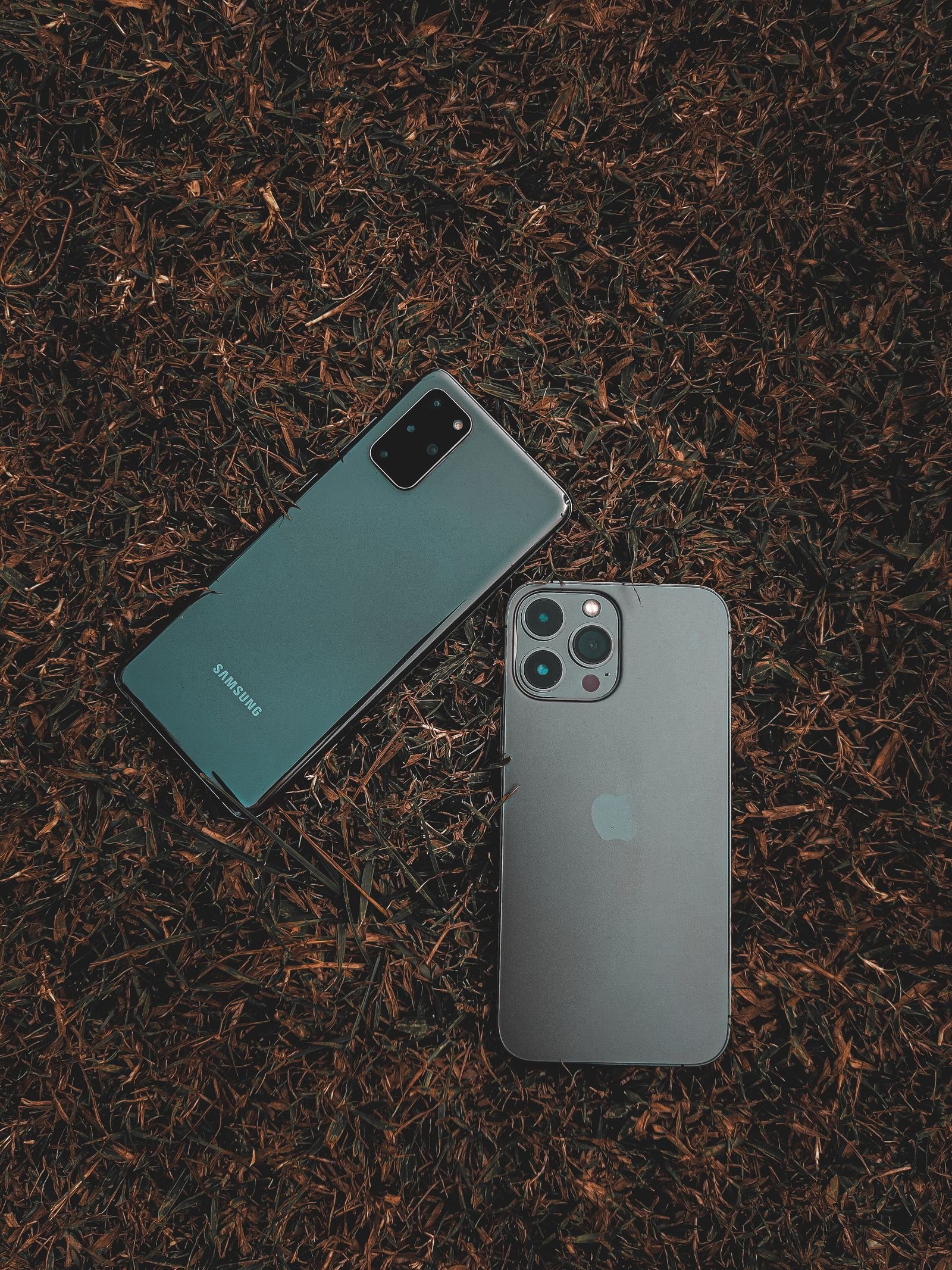 A Samsung Android phone and an iPhone lying back to back on grass