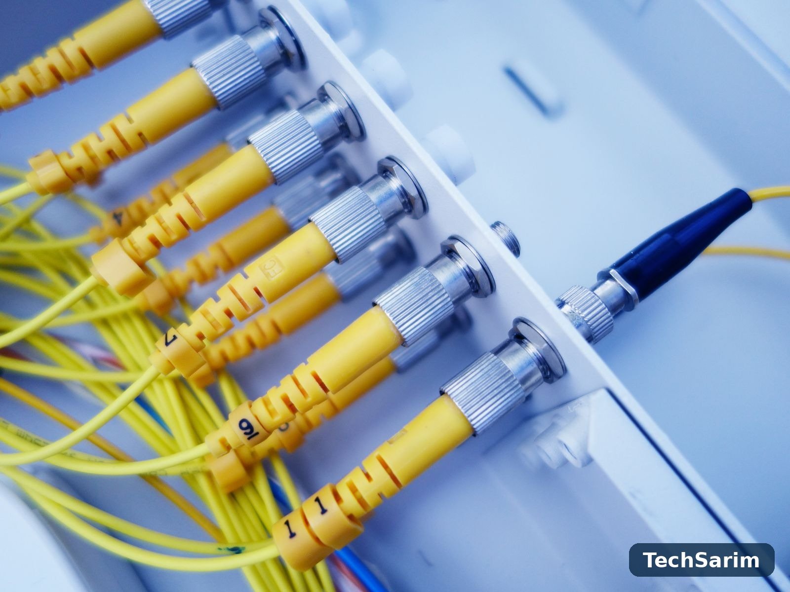 Close-up of yellow fibre optic cables plugged into a network patch panel