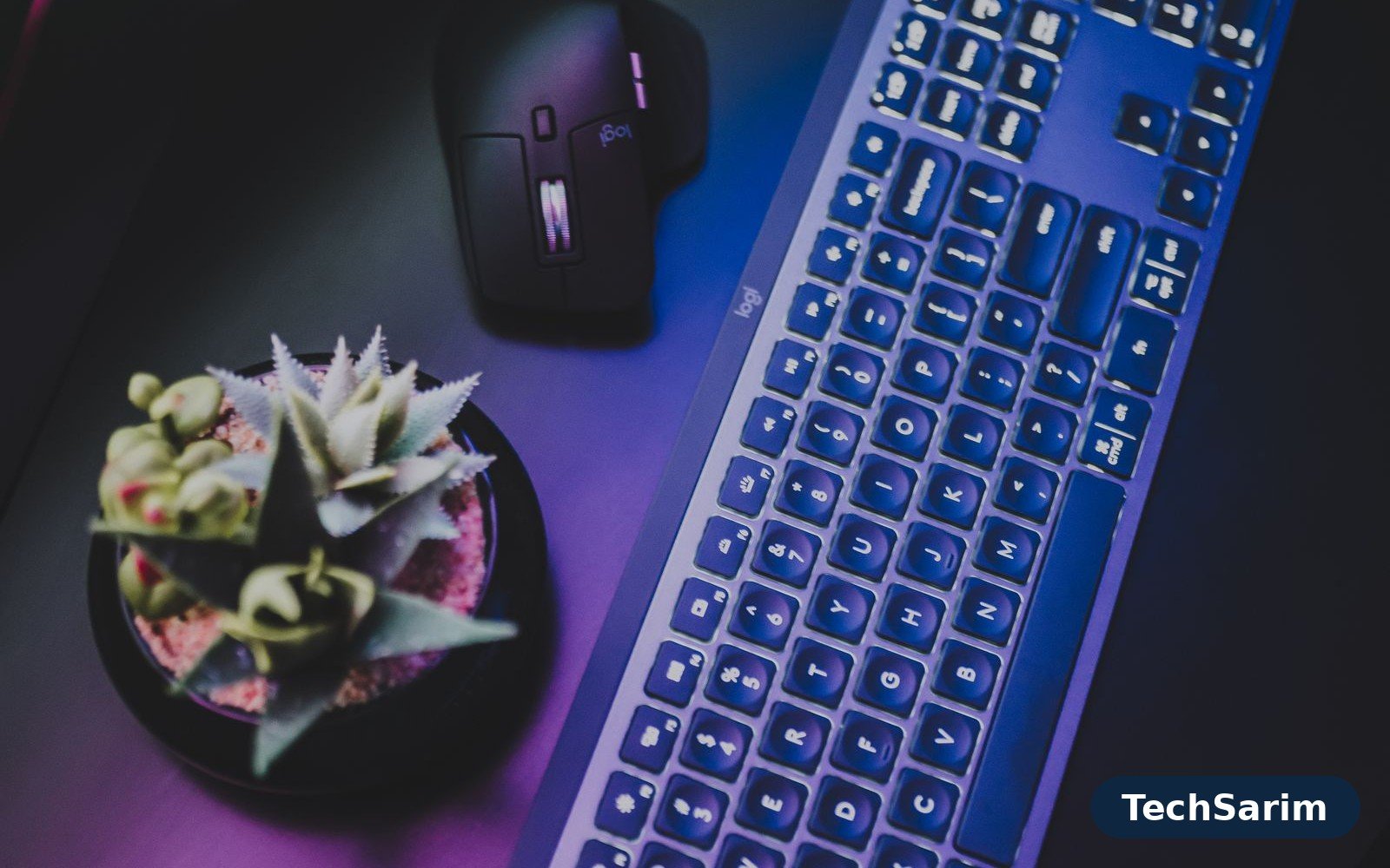 Top-down view of a full-size backlit wireless keyboard on a dark desk beside a wireless mouse and a small potted succulent